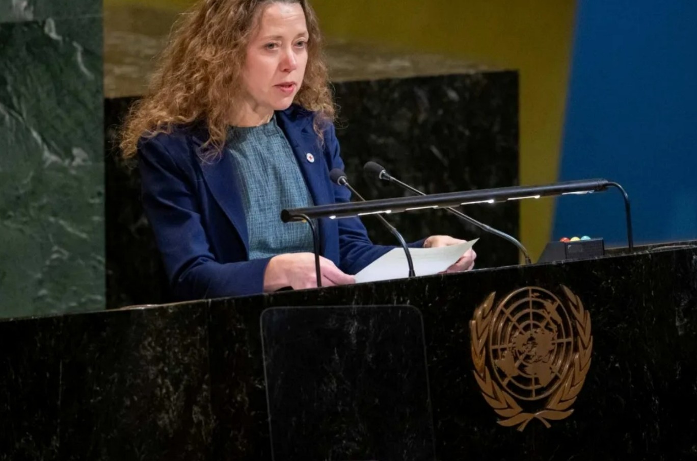 مجمع عمومی سازمان ملل متحد: اقدام بشردوستانه مبتنی بر اصول تحت فشار فزاینده قرار دارد